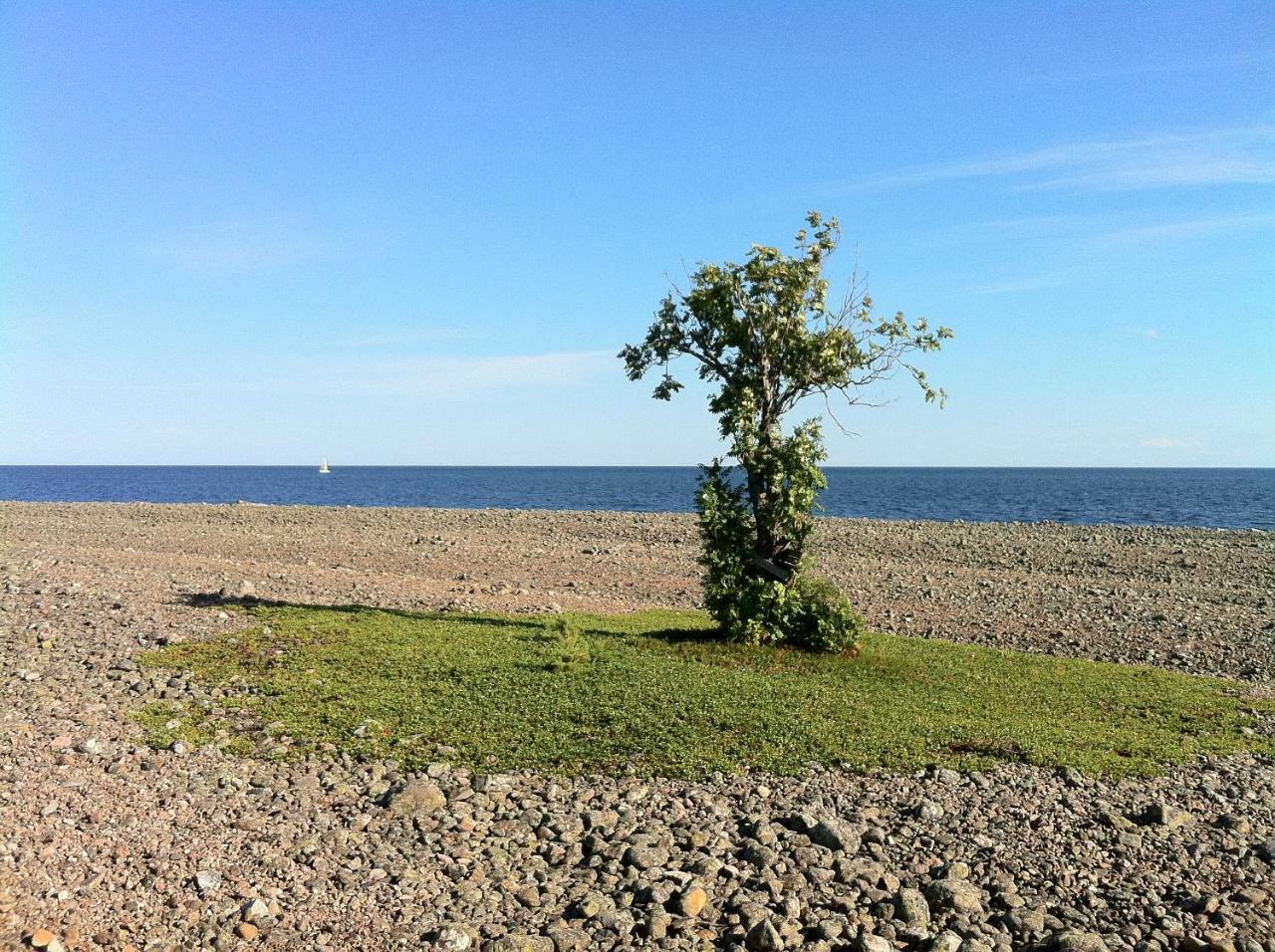 Hoelick Havsresort & Spa Hudiksvall Buitenkant foto